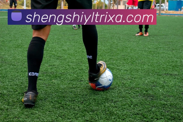 盛世娱乐平台生态图